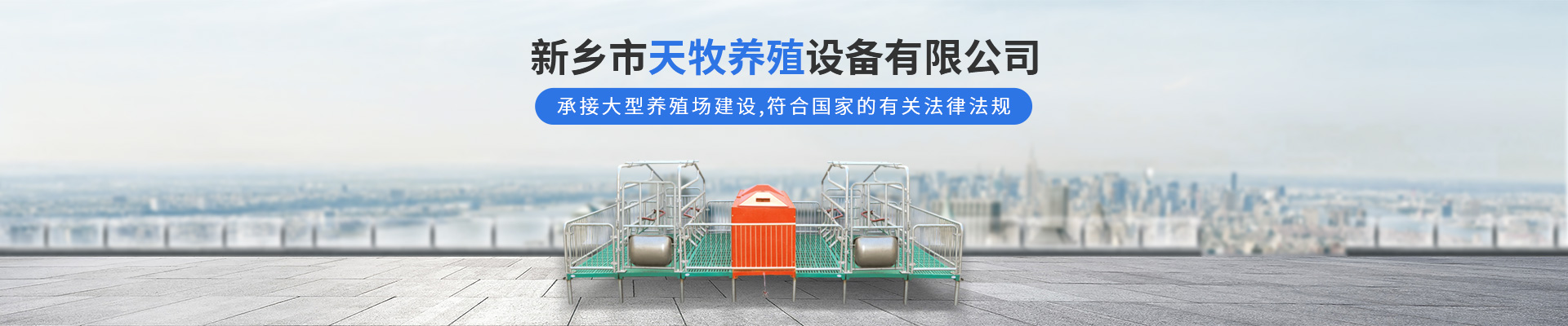 202537-明日猪价（一夜遇冷猪价跌落“跌不断”！）